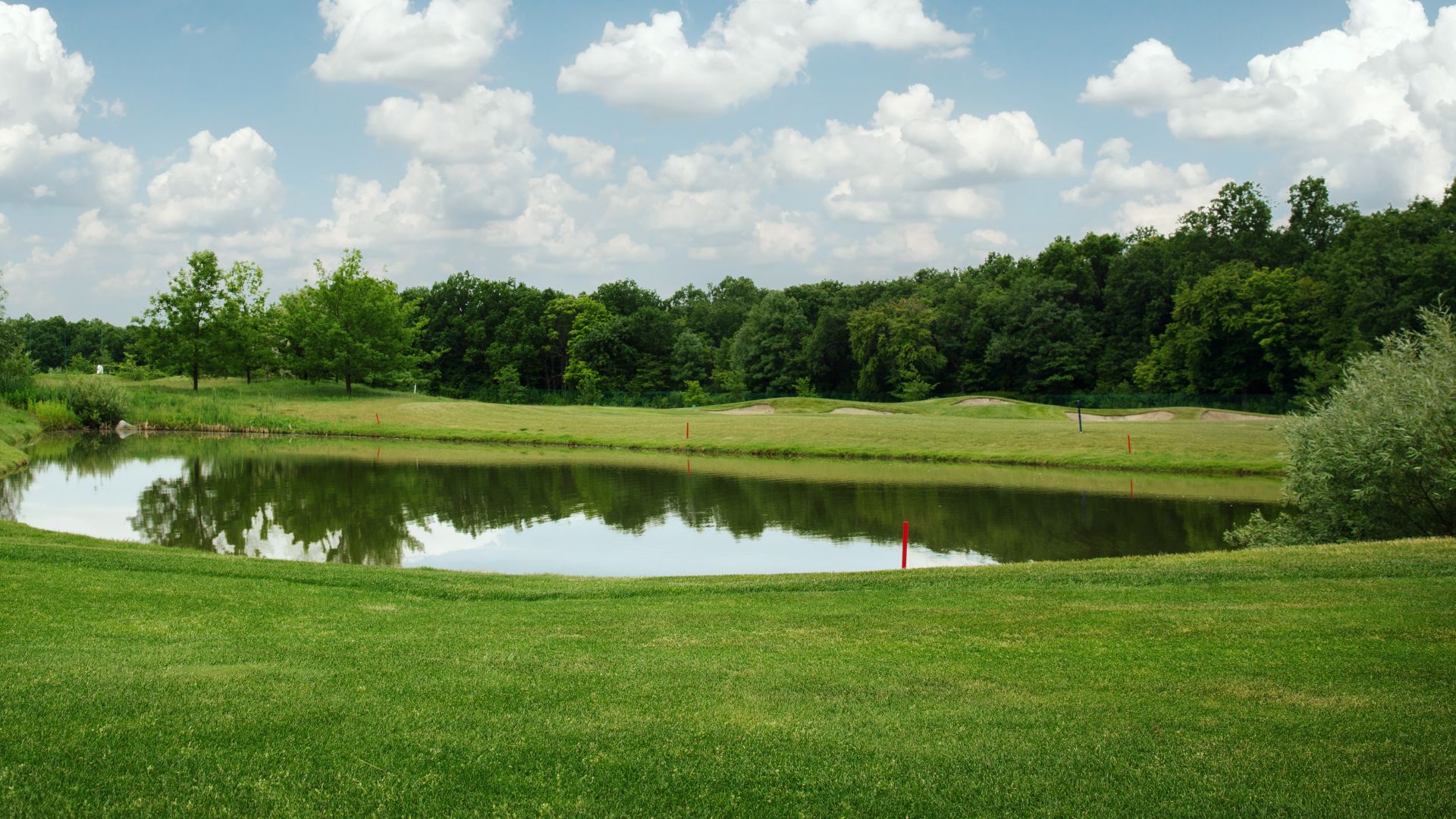 Pond restoration showing clear water after duckweed removal